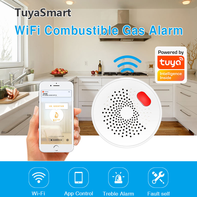EU/US/UK Tuya Smart Home 2.4G  – Smart Home Europe Bewertung und Preis