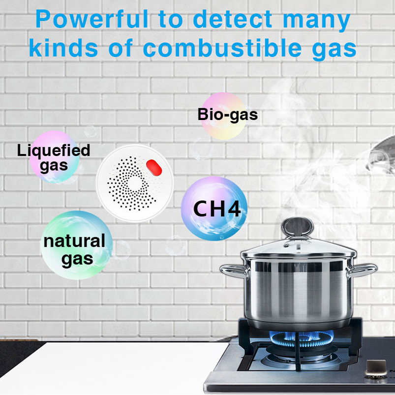 EU/US/UK Tuya Smart Home 2.4G  – Smart Home Europe Bewertung und Preis